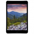 Маленькое фото товара - Планшет Apple iPad mini 3 Wi-Fi + Cellular 64Gb темно-серый. Вариант №1
