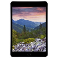 Фото товара - Планшет Apple iPad mini 3 Wi-Fi + Cellular 16Gb темно-серый